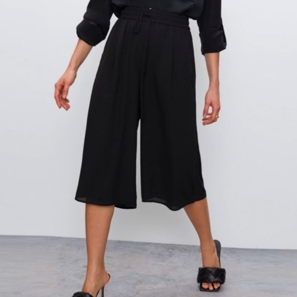 Babaton Pants - Aritzia Babaton Colutte Pants Wide Leg Cropped Size Med. Black Sheer Lined